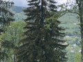 20260516_095115295_iOS-1