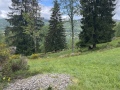 20260516_095115295_iOS