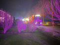 2024-Lichtjesoptocht-3