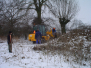 Wilgen knotten